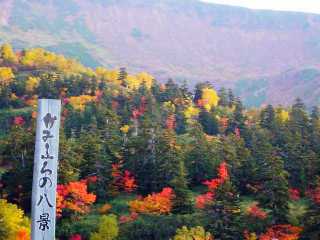 十勝岳温泉郷の紅葉 かみふらの八景 と望岳台 北海道 観光 株式 世相 映画 ドラマ アイドル お金儲け まで 何でも 載せちゃう 情報 満載